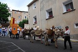 Recampado_Bedoin_2025_78.jpg Recampado_Bedoin_2025_78.jpg