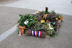 Recampado_Bedoin_2025_79.jpg Recampado_Bedoin_2025_79.jpg