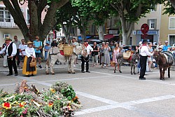 Recampado_Bedoin_2025_82.jpg Recampado_Bedoin_2025_82.jpg