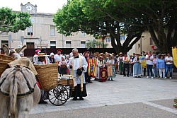 Recampado_Bedoin_2025_84.jpg Recampado_Bedoin_2025_84.jpg