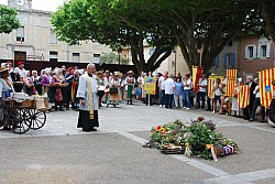 Recampado_Bedoin_2025_89.jpg Recampado_Bedoin_2025_89.jpg