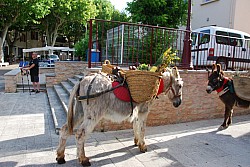 Recampado  defile 2026.jpg