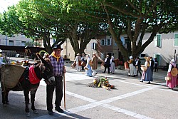 Recampado  defile 2026_27.jpg